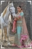 Indian bridal lehenga choli 956