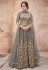 Gray net long anarkali suit 16025C