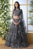 Gray net embroidered circular lehenga choli 1211