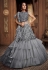 Gray net frilled designer lehenga choli 065