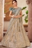 grey shade jacquard silk embroidered lehenga choli 5738