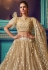 Beige net embroidered frill circular lehenga choli 4101