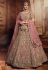 Light brown georgette circular lehenga choli 3805