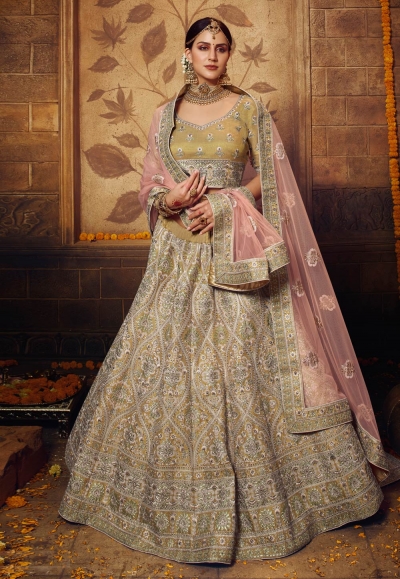 Golden net circular lehenga choli 3808