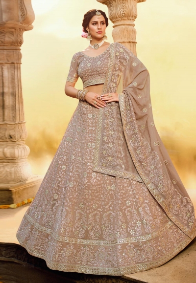 Light brown georgette circular lehenga choli 3809