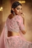 Pink net circular party wear lehenga choli 5406