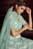 Sea green net circular lehenga choli 5407