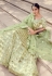 Light green net sequins work lehenga choli 5909