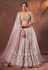 Pink net lehenga choli 6303