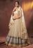 Beige net sequins work lehenga choli 6304