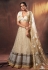 Beige net sequins work lehenga choli 6304