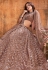 Brown net sequins work lehenga choli 1083