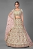 Light green georgette embroidered lehenga choli 6903