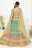 Light green georgette embroidered lehenga choli 1142