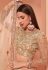 Beige net embroidered sequins work lehenga choli 1037