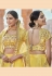 Yellow net embroidered lehenga choli 4225