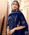 Navy blue jacquard silk saree with blouse 38325