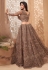 Brown net embroidered lehenga choli 1042