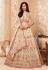 Beige net sequins work lehenga choli 1044