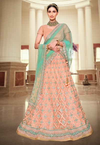 Peach net embroidered a line lehenga choli 5185