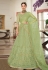 Light green net embroidered a line lehenga choli 5187