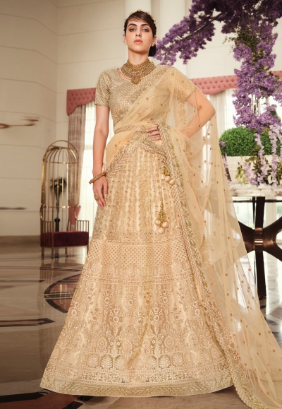 Beige net embroidered lehenga choli 5188