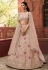 Brown organza embroidered lehenga choli 7224