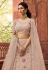 Brown organza embroidered lehenga choli 7224