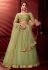 Pista green net circular lehenga choli 103a