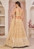 Beige net sequins work lehenga choli 9772