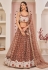 Brown net sequins work lehenga choli 9776