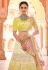 Yellow velvet a line lehenga choli 8515