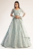 Sea green net circular lehenga choli 1053