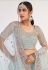 Sky blue net circular lehenga choli 1057