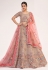 Beige net circular lehenga choli 1058