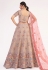 Beige net circular lehenga choli 1058