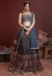 Grey chinon silk circular lehenga choli 102