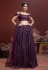 Purple soft net circular lehenga choli 104