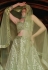 Pista green net a line lehenga choli 2037