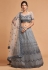 Grey soft net circular lehenga choli 7312