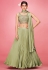 Pista green art silk a line lehenga choli 9003