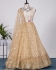 Bollywood Model Cream and gold sequins lehenga choli