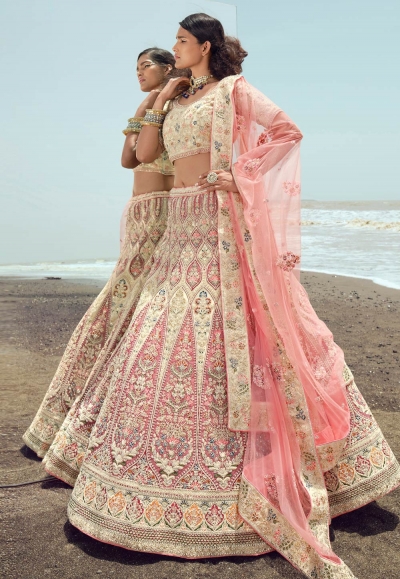 Net a line lehenga choli in Cream colour 23006