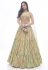 Chinon a line lehenga choli in Yellow colour 1016