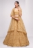 Net a line lehenga choli in Golden colour 1068B