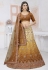 Net a line lehenga choli in Brown colour 6444