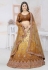 Net a line lehenga choli in Brown colour 6444