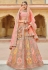 Banarasi silk circular lehenga choli in Grey colour 110