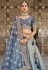 Banarasi silk circular lehenga choli in Sky blue colour 115