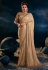 Net Saree with blouse in Beige colour 6314